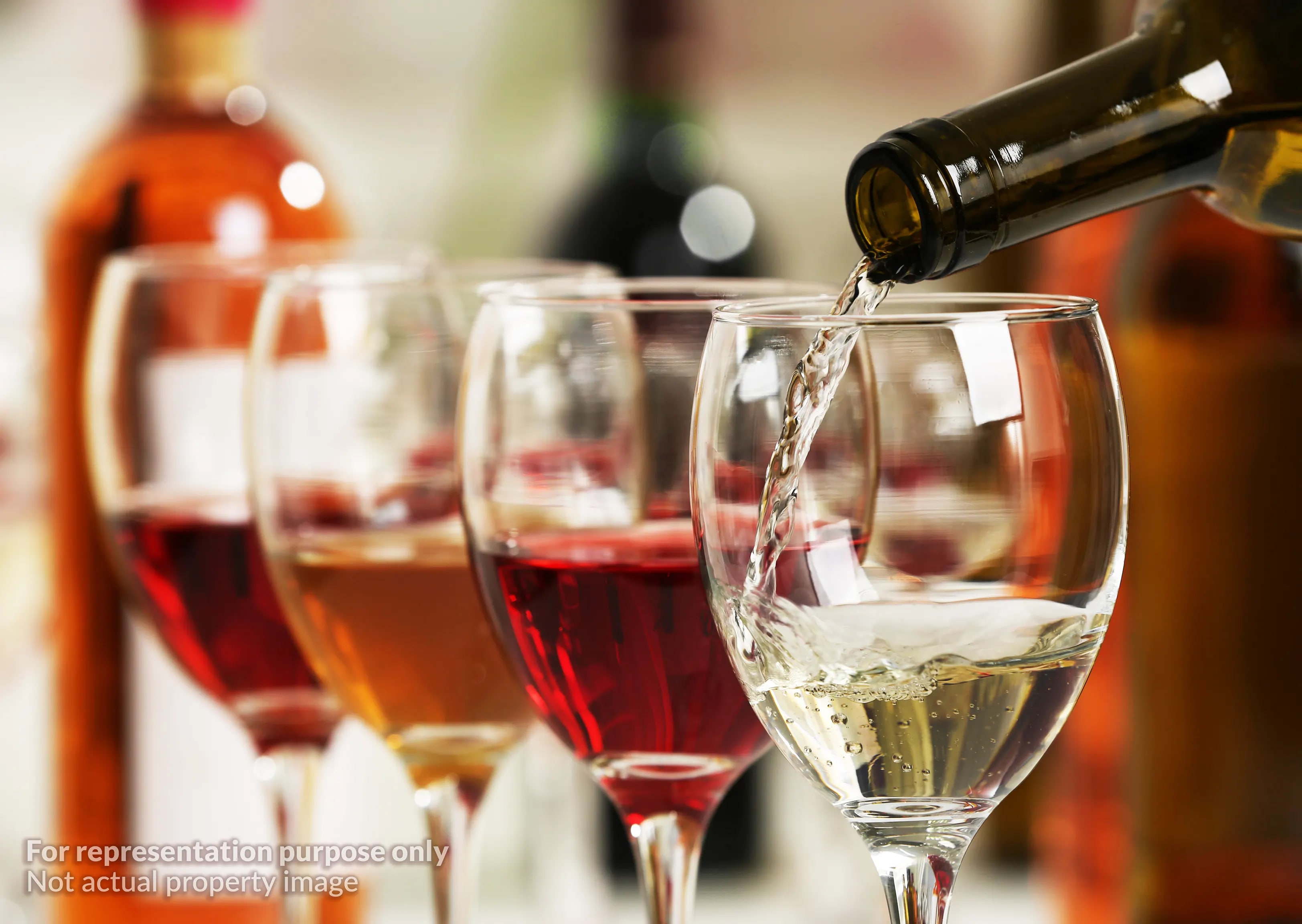 Guided Wine Tours